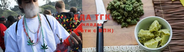 дживик Верхний Тагил