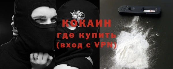 дживик Верхний Тагил