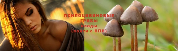 дживик Верхний Тагил