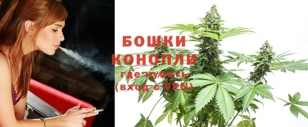 дживик Верхний Тагил