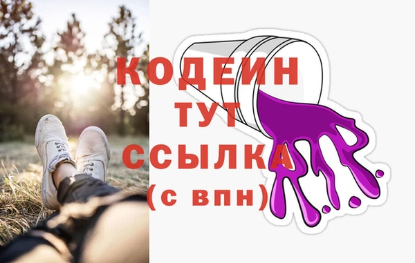 дживик Верхний Тагил
