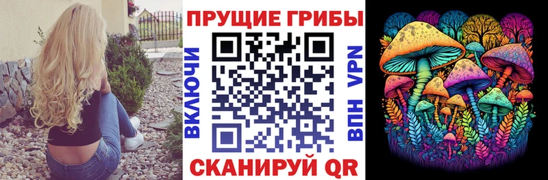 mega как зайти  Первоуральск  Псилоцибиновые грибы прущие грибы 